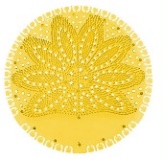 Faneco Gel Urinal Insert Lemon - 10 Pcs (US200322-10)